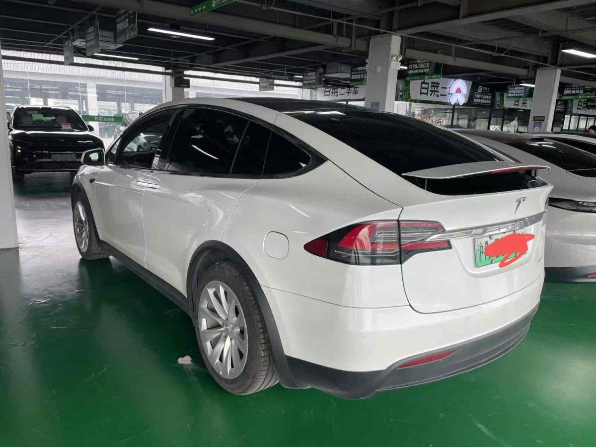 特斯拉 Model X  2019款 長續(xù)航版圖片