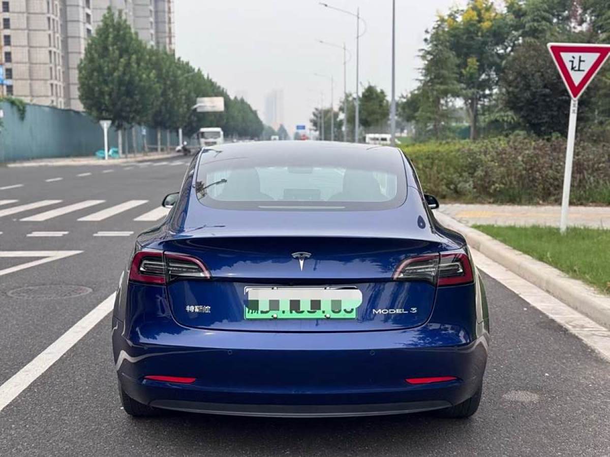 特斯拉 Model 3  2019款 標(biāo)準(zhǔn)續(xù)航后驅(qū)升級(jí)版圖片