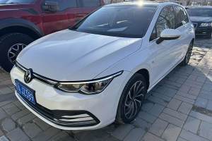 高爾夫 大眾 280TSI DSG 30周年紀(jì)念版