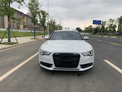 2013年10月 奧迪 奧迪A5(進口) Sportback 40 TFSI風(fēng)尚版圖片