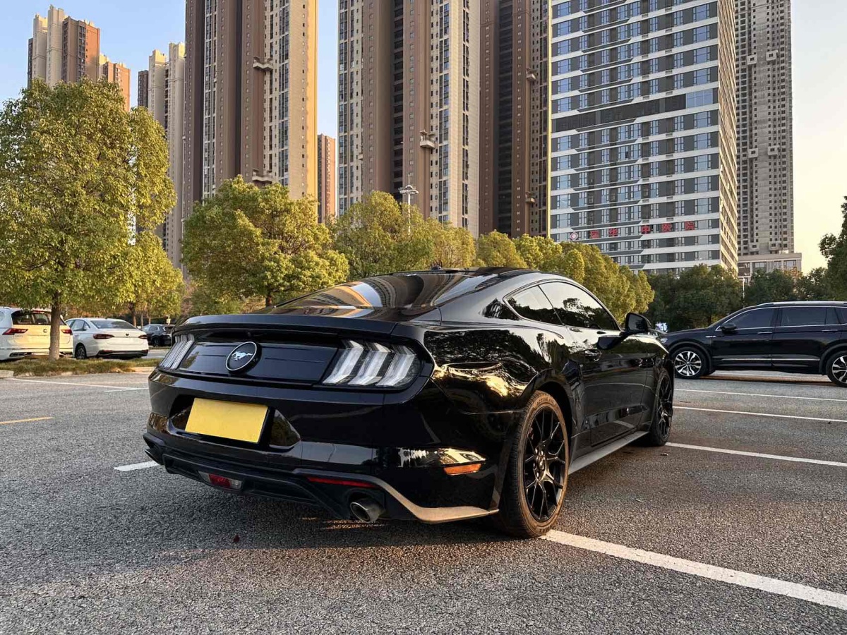 福特 Mustang  2019款 2.3L EcoBoost圖片