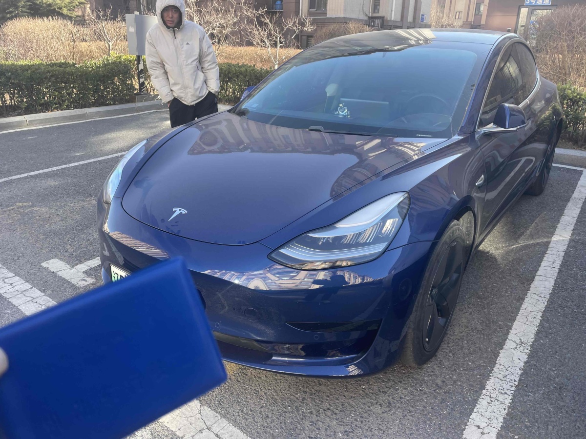 特斯拉 Model 3  2019款 標準續(xù)航后驅(qū)升級版圖片