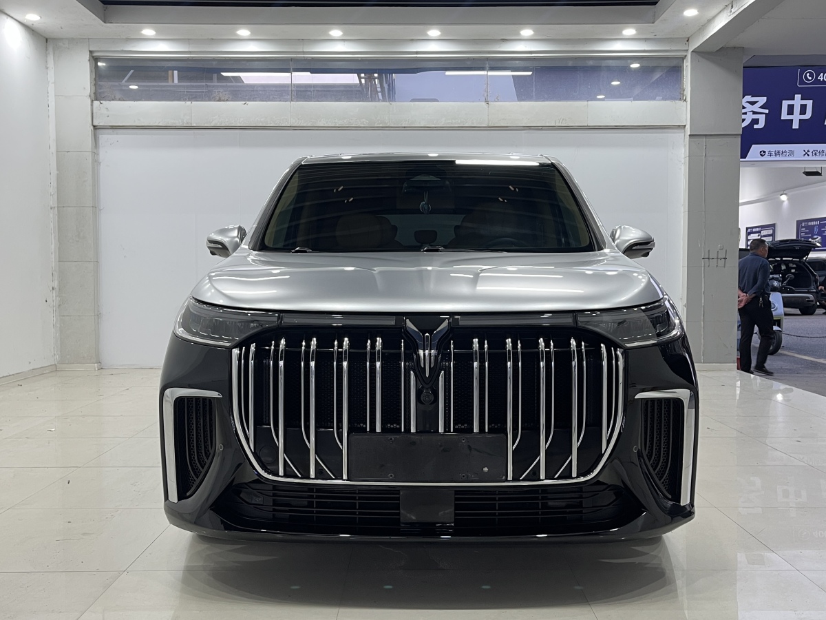 嵐圖 夢(mèng)想家  2024款 PHEV 超長(zhǎng)續(xù)航尊貴版圖片