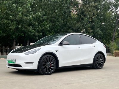 2022年8月 特斯拉 Model Y Performance高性能全輪驅動版圖片