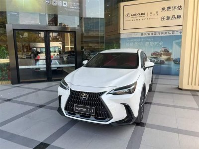 2022年12月 雷克薩斯 NX 260 前驅(qū) 創(chuàng)馳版圖片