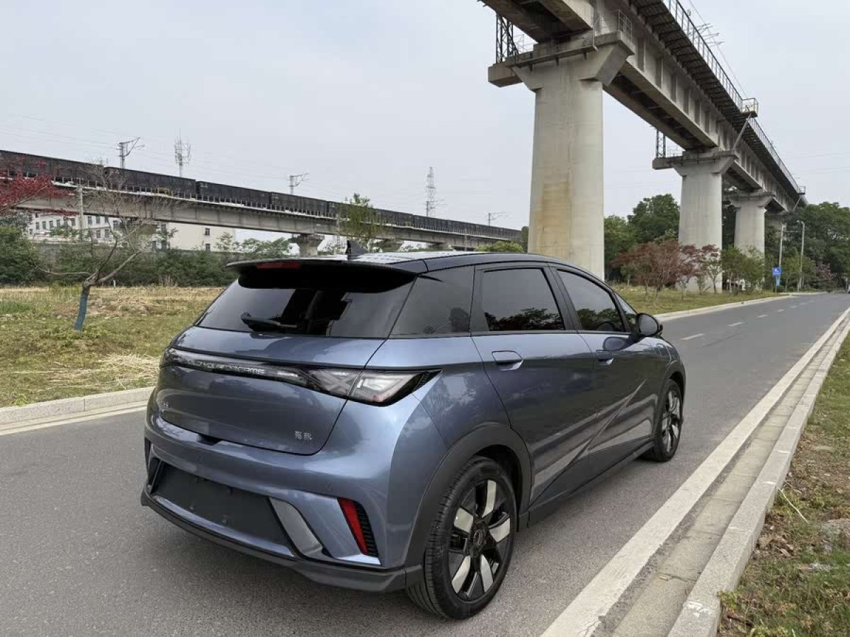 比亞迪 海豚  2024款 榮耀版 401km 騎士版圖片