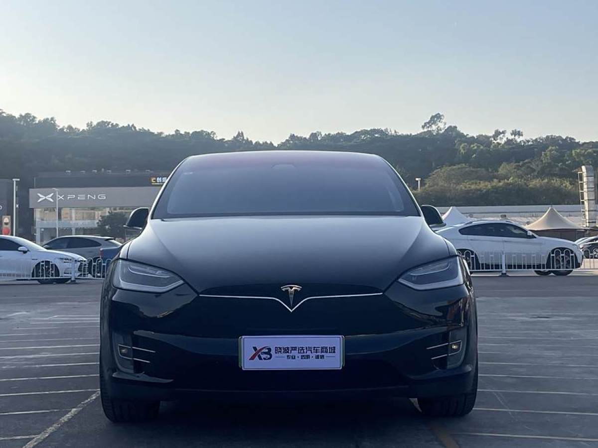 特斯拉 Model X  2017款 Model X 100D 長續(xù)航版圖片