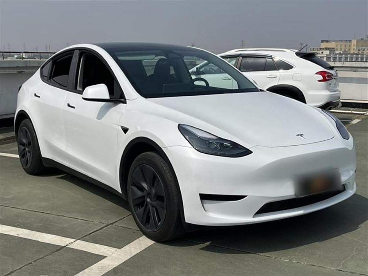 特斯拉 Model 3  2020款 改款 長續(xù)航后輪驅(qū)動版圖片