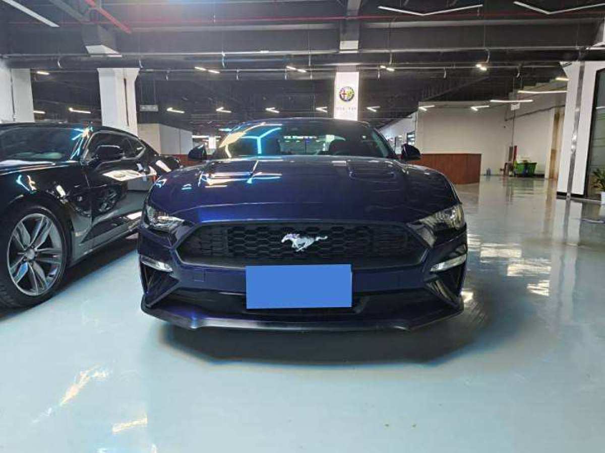 福特 Mustang  2019款 2.3L EcoBoost 性能加強(qiáng)版圖片