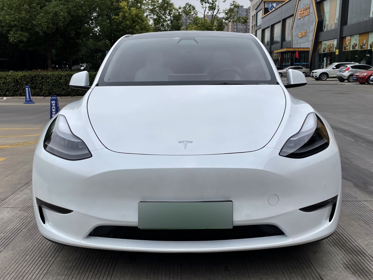 特斯拉 Model 3  2021款 Performance高性能全輪驅(qū)動(dòng)版圖片