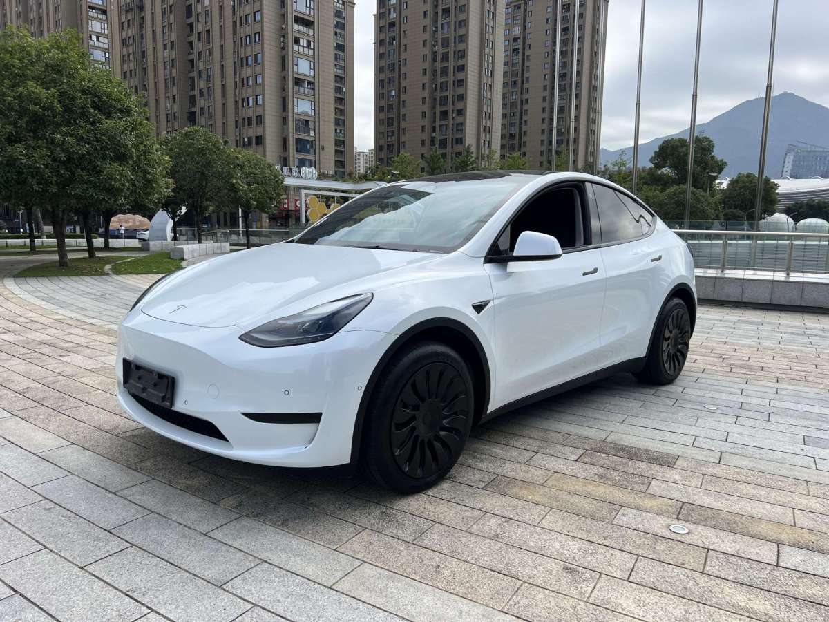 2023年11月特斯拉 Model Y  2023款 煥新版 后輪驅(qū)動(dòng)