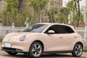 歐拉好貓 歐拉 400km標(biāo)準(zhǔn)續(xù)航 雅典娜版