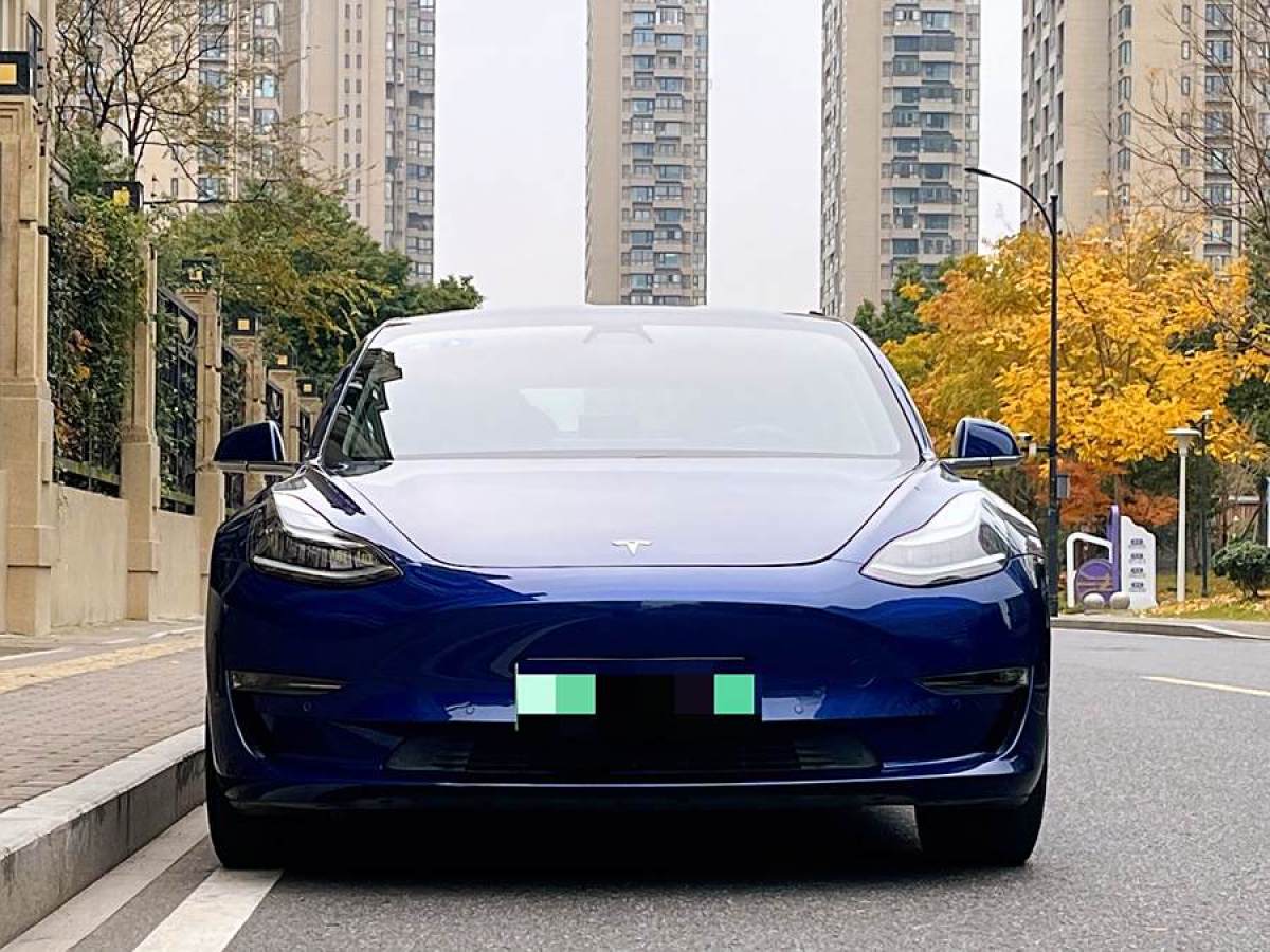 特斯拉 Model 3  2019款 標(biāo)準(zhǔn)續(xù)航后驅(qū)升級版圖片