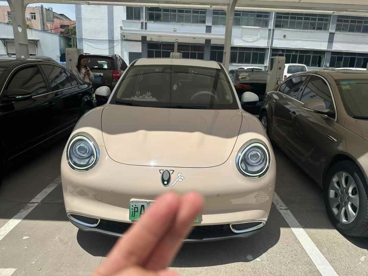 歐拉 歐拉好貓  2021款 400km標(biāo)準(zhǔn)續(xù)航 公務(wù)版 三元鋰圖片