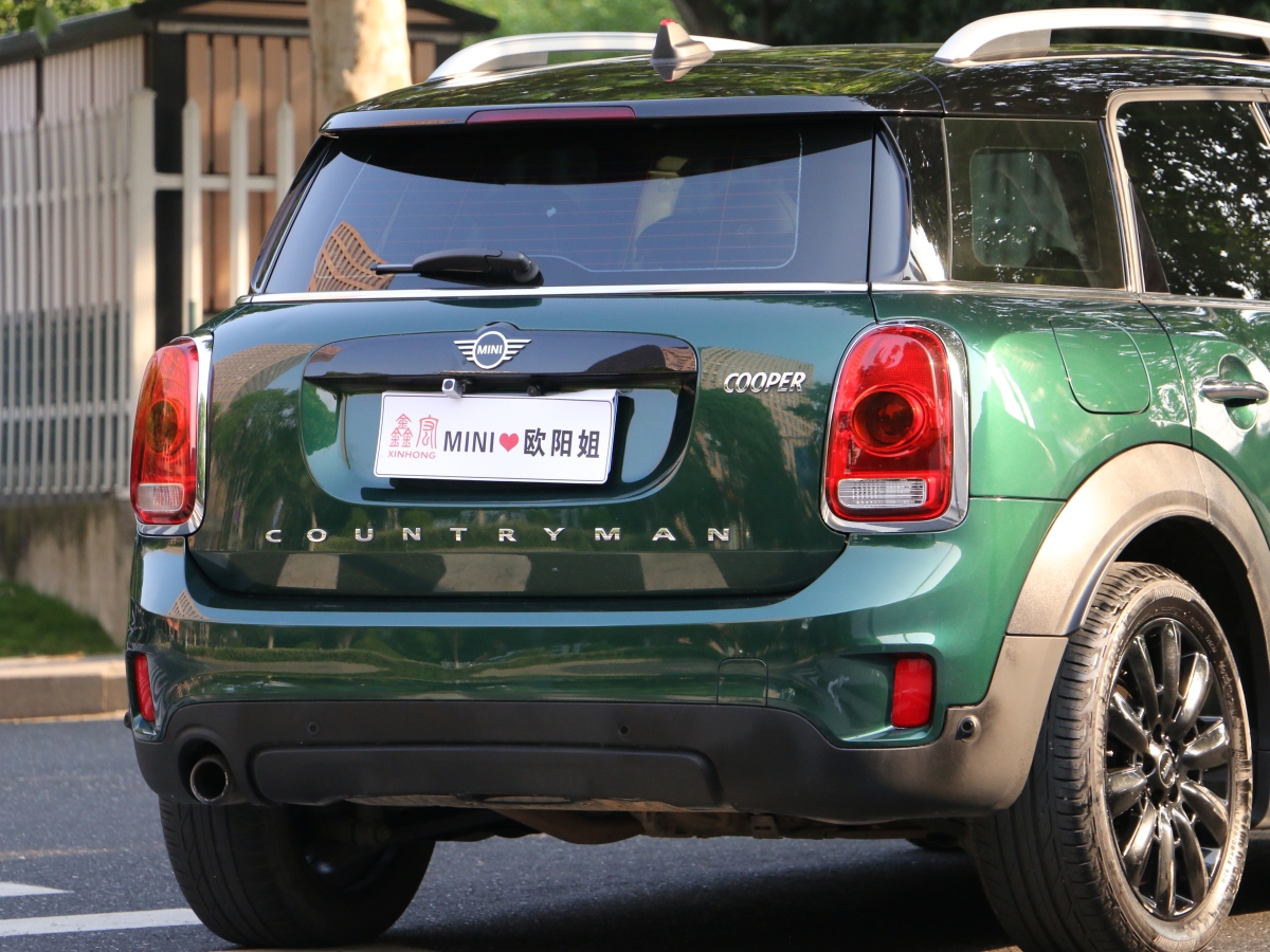 MINI COUNTRYMAN  2018款 1.5T COOPER ALL4 藝術(shù)家圖片
