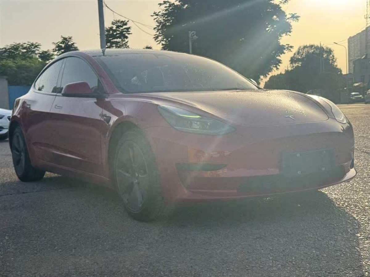 特斯拉 Model 3  2022款 后輪驅(qū)動版圖片