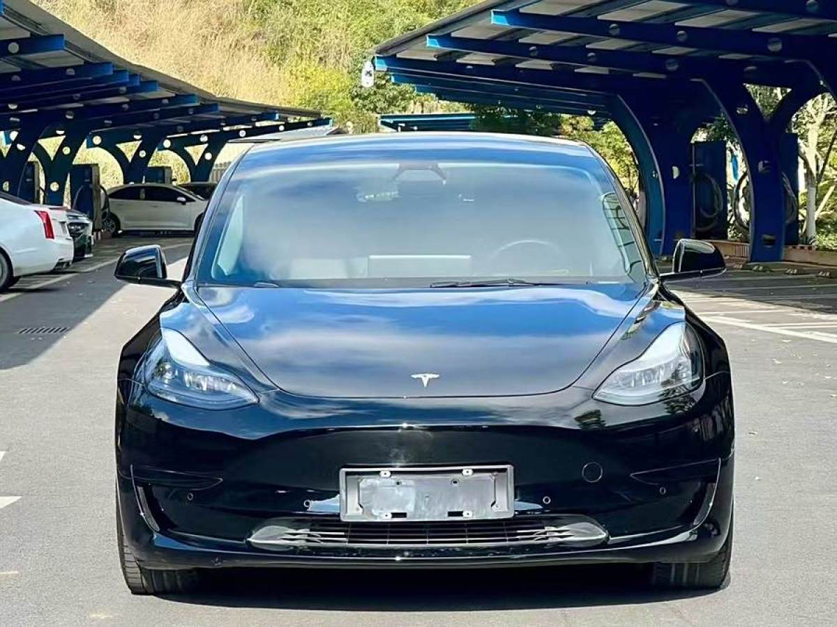 特斯拉 Model 3  2021款 改款 標準續(xù)航后驅(qū)升級版圖片