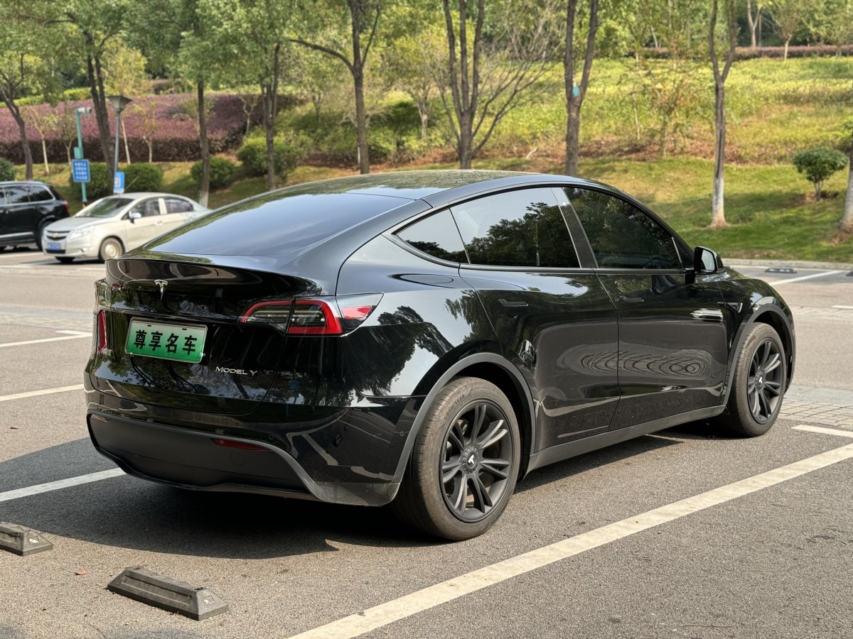 特斯拉 Model Y  2020款 改款 長續(xù)航后輪驅(qū)動版圖片