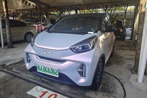 eQ1 奇瑞 甜粉款 半糖版 三元锂 30kW 301km