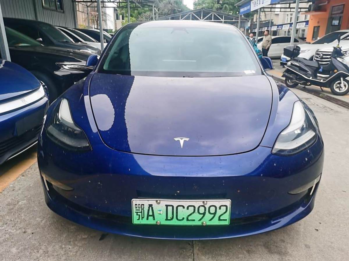 特斯拉 Model 3  2019款 長續(xù)航全輪驅(qū)動版圖片