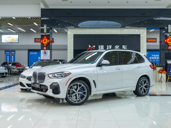 宝马 宝马X5  2019款 xDrive40i M运动套装