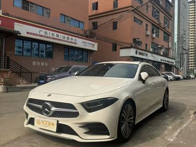 2019年3月 奔馳 奔馳CLS級(進口) CLS 300 動感型圖片