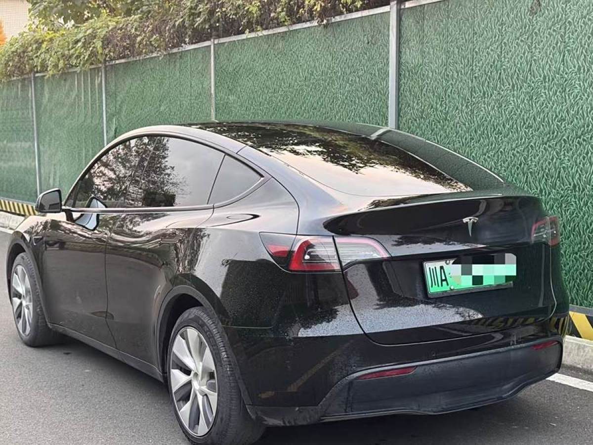 特斯拉 Model 3  2020款 改款 長續(xù)航后輪驅動版圖片