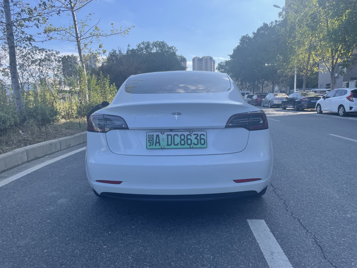 特斯拉 Model 3  2019款 標(biāo)準(zhǔn)續(xù)航后驅(qū)升級版圖片