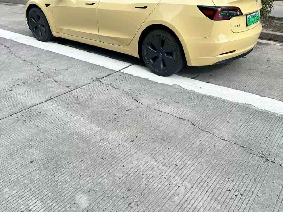 特斯拉 Model S  2023款 三電機(jī)全輪驅(qū)動(dòng) Plaid版圖片