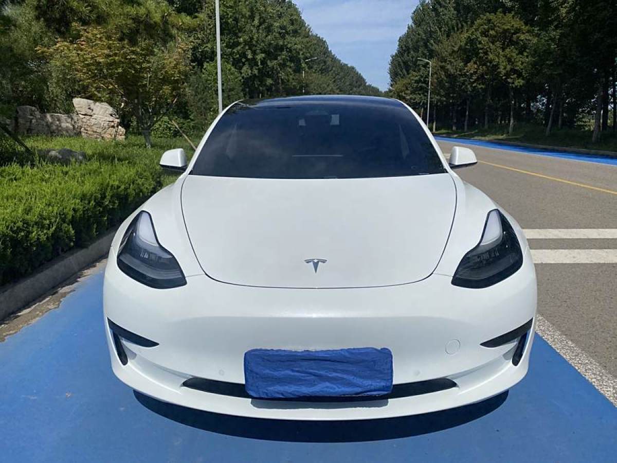 特斯拉 Model 3  2020款 改款 標(biāo)準(zhǔn)續(xù)航后驅(qū)升級(jí)版圖片