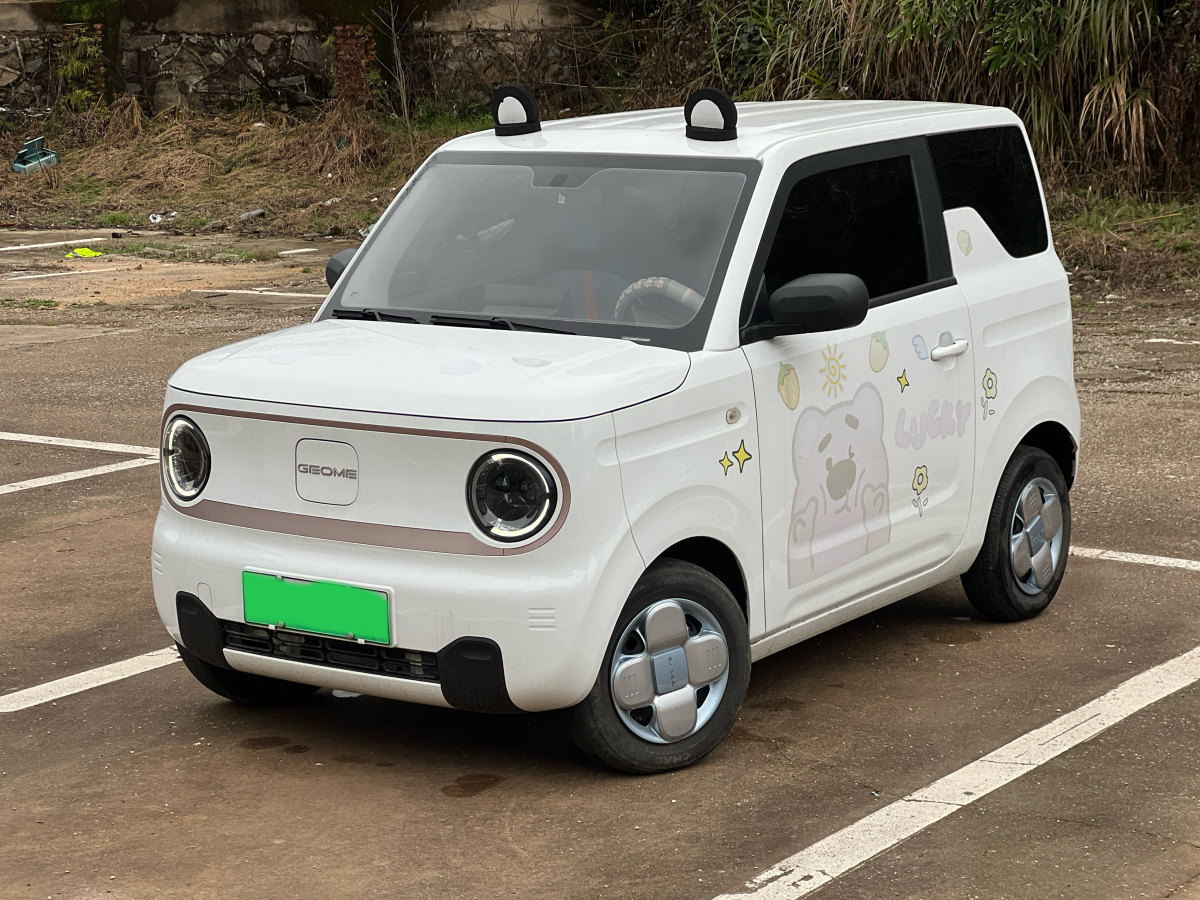 2023年3月吉利 熊貓mini  2023款 200km 耐力熊