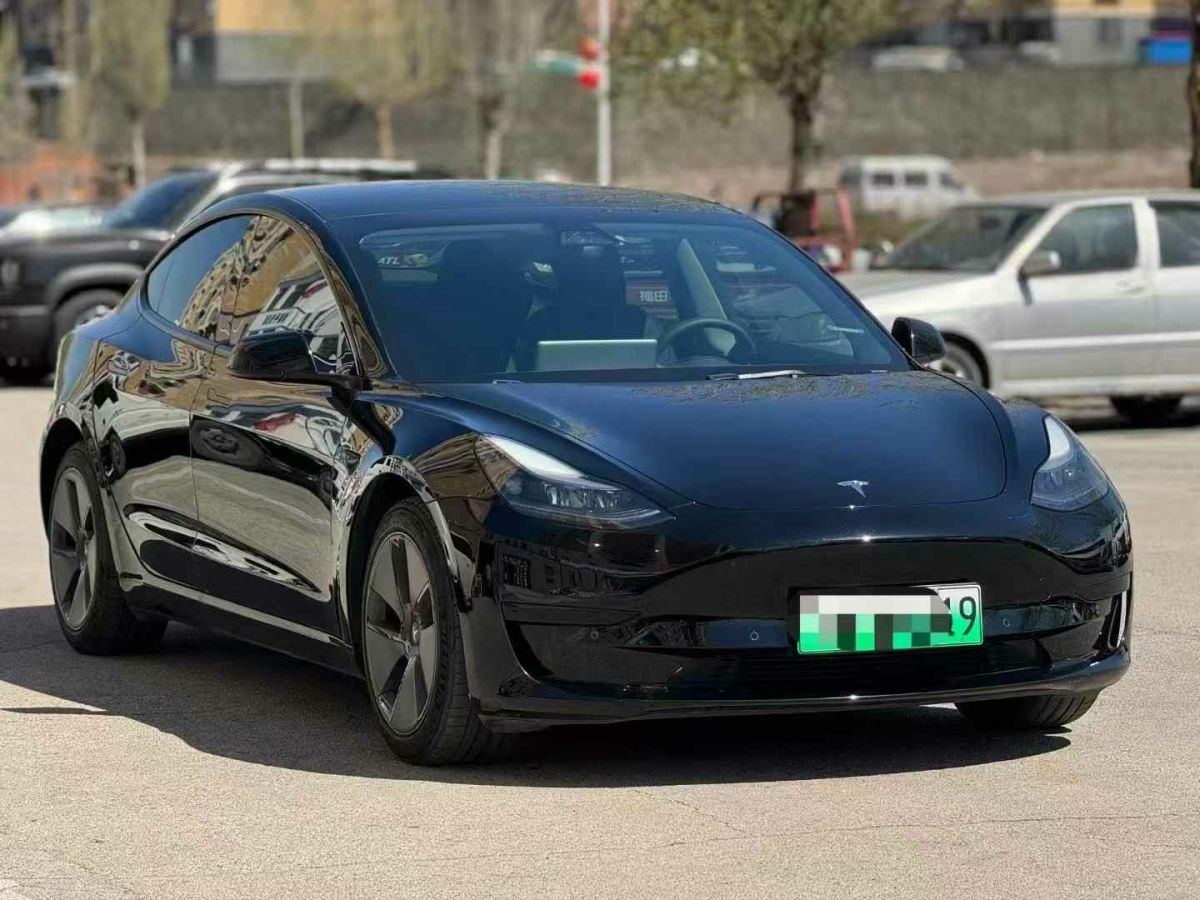特斯拉 Model Y  2022款 Performance高性能全輪驅(qū)動(dòng)版圖片