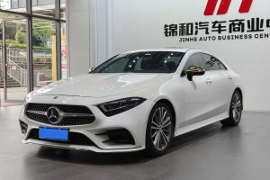 奔馳CLS級(jí) 奔馳 CLS 300 動(dòng)感型