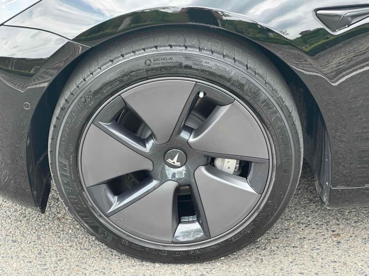 特斯拉 Model 3  2021款 標(biāo)準(zhǔn)續(xù)航后驅(qū)升級(jí)版 3D6圖片