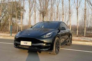 Model Y 特斯拉 改款 長續(xù)航全輪驅(qū)動版