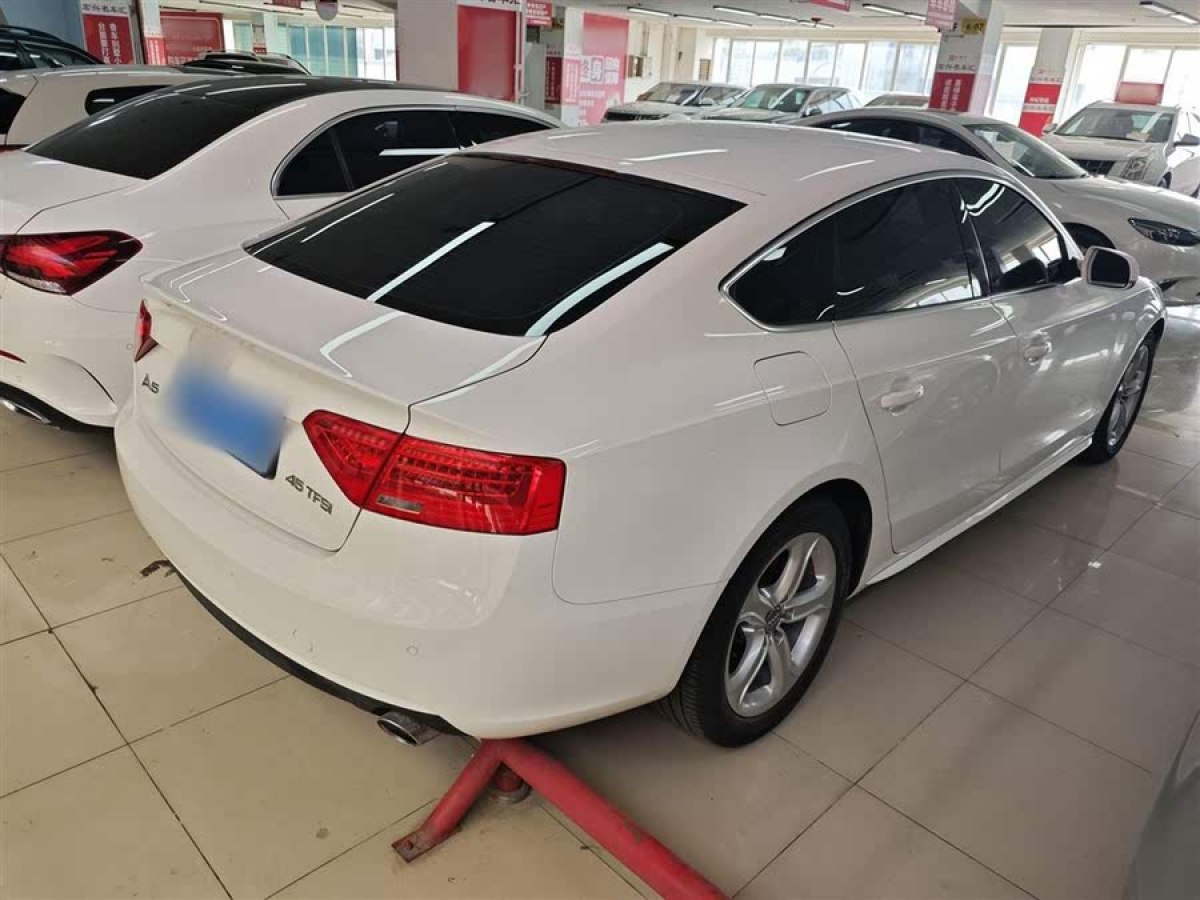 奧迪 奧迪A5  2014款 Sportback 45 TFSI圖片