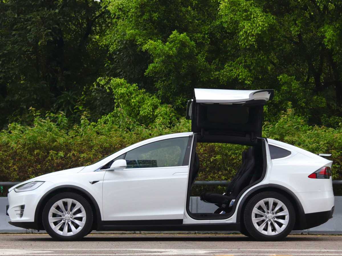 特斯拉 Model X  2016款 Model X 75D圖片