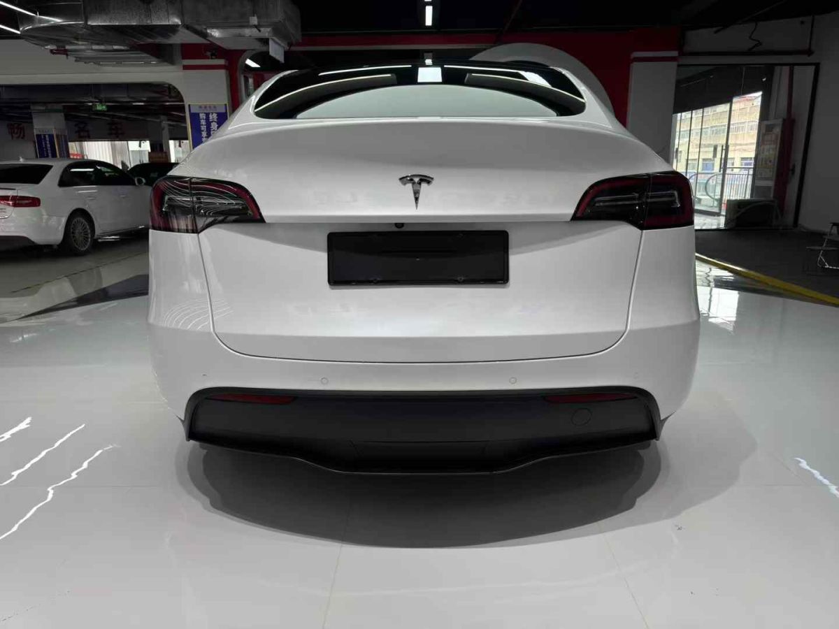 特斯拉 Model Y  2022款 Performance高性能全輪驅(qū)動版圖片