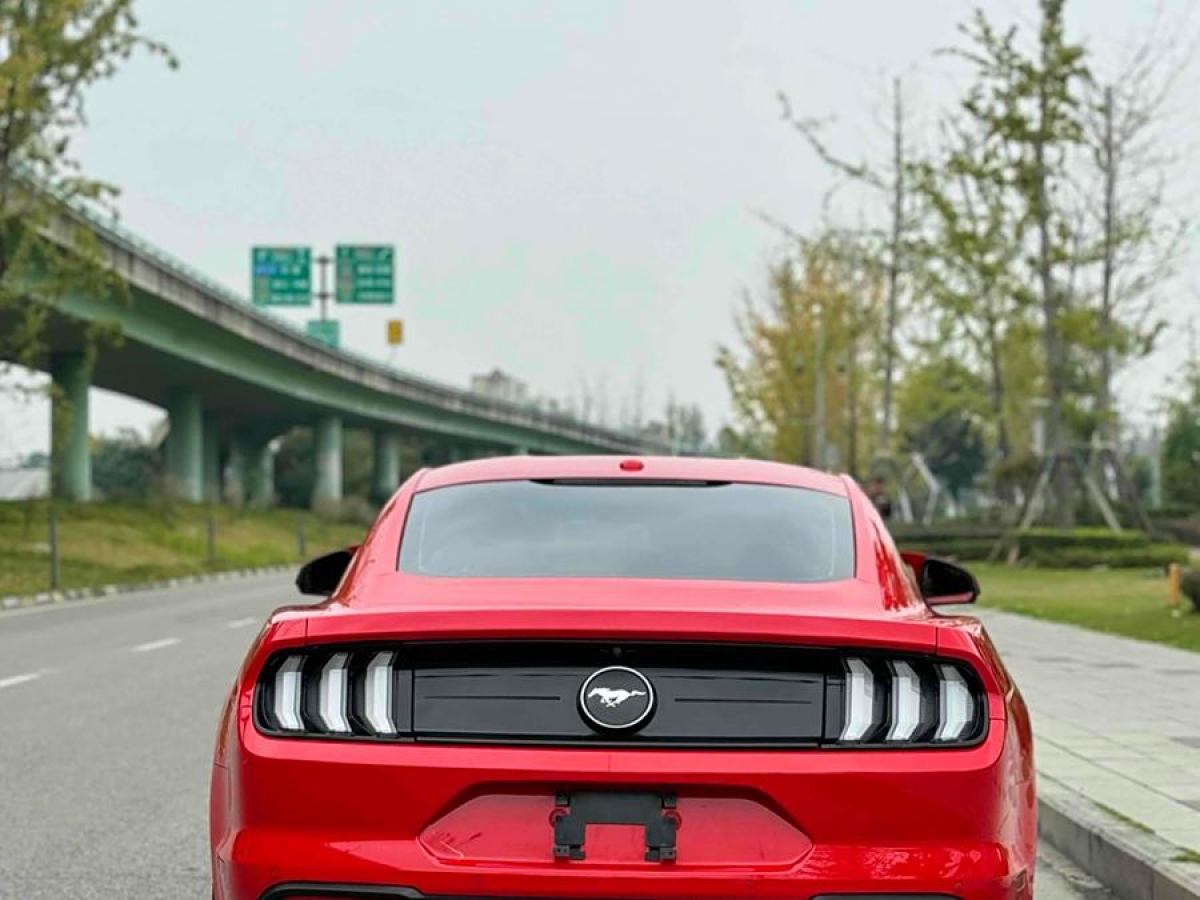 福特 Mustang  2019款 2.3L EcoBoost 性能加強(qiáng)版圖片