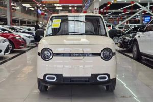 熊貓mini 吉利 210km 熊貓騎士