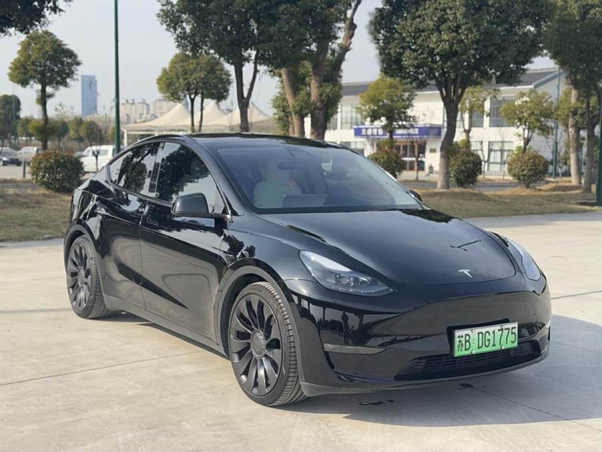 特斯拉 Model 3  2021款 改款 Performance高性能全輪驅動版圖片