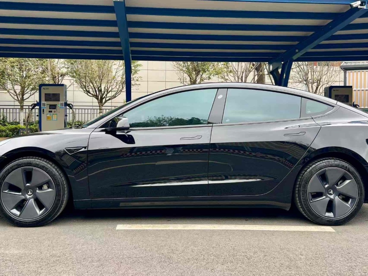 特斯拉 Model 3  2022款 后輪驅(qū)動(dòng)版圖片