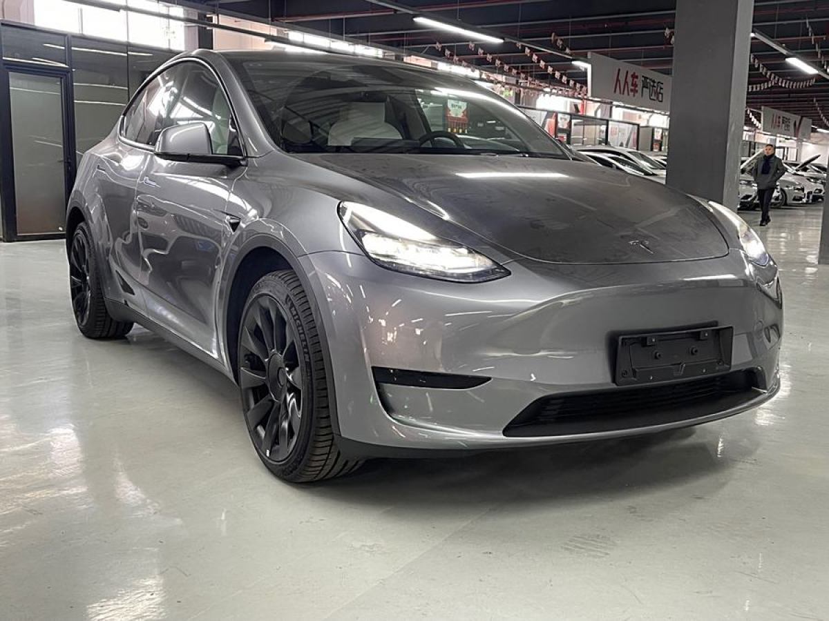 特斯拉 Model 3  2020款 改款 長續(xù)航后輪驅(qū)動版圖片