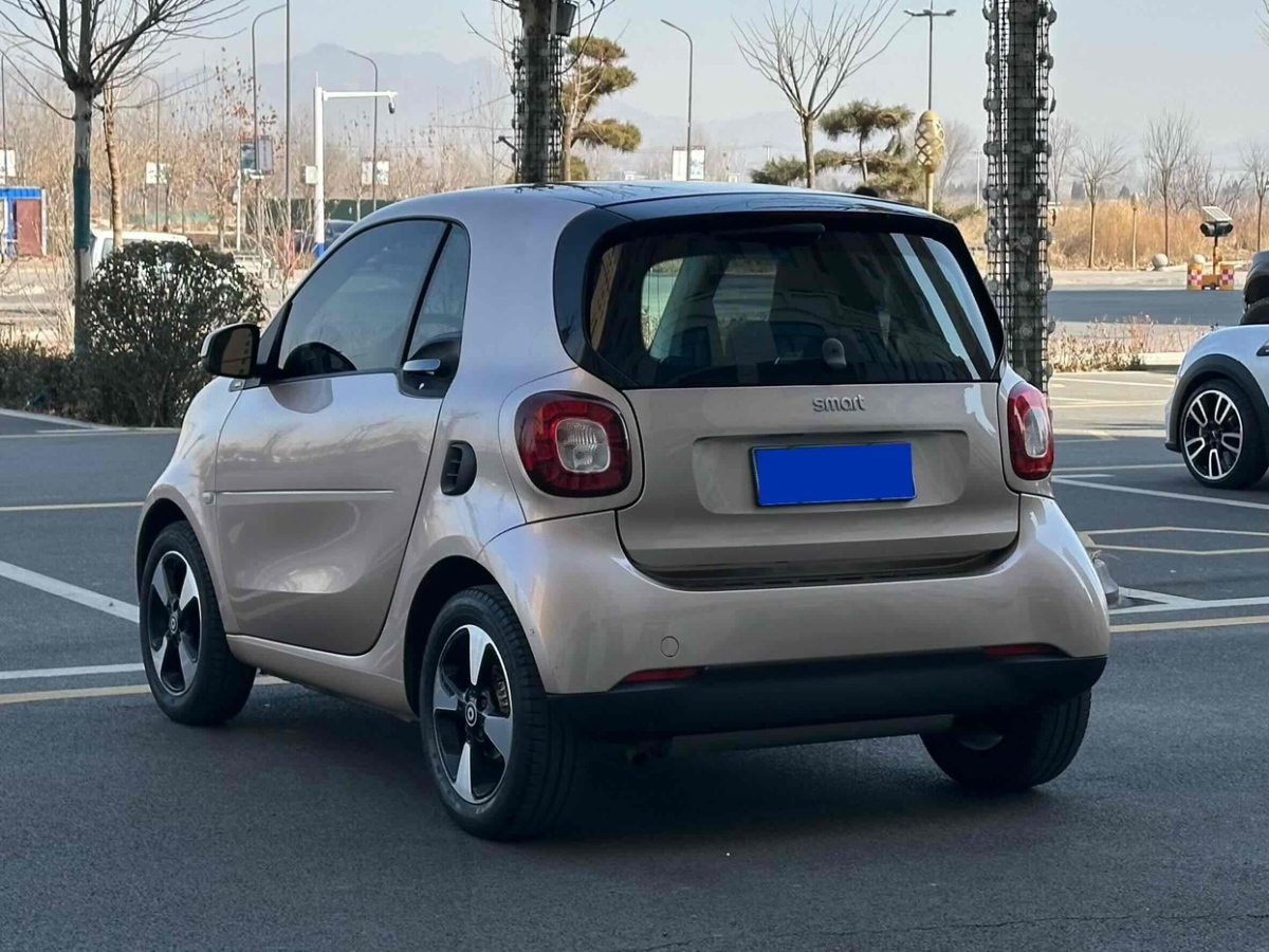 smart fortwo  2018款 1.0L 52千瓦耀金特別版圖片