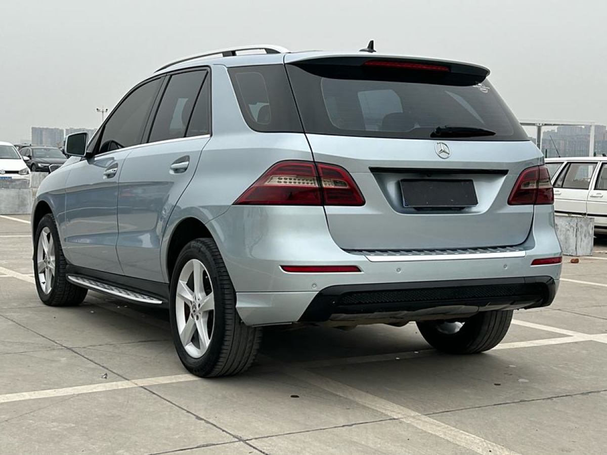 2014年1月奔馳 奔馳M級  2014款 ML 320 4MATIC