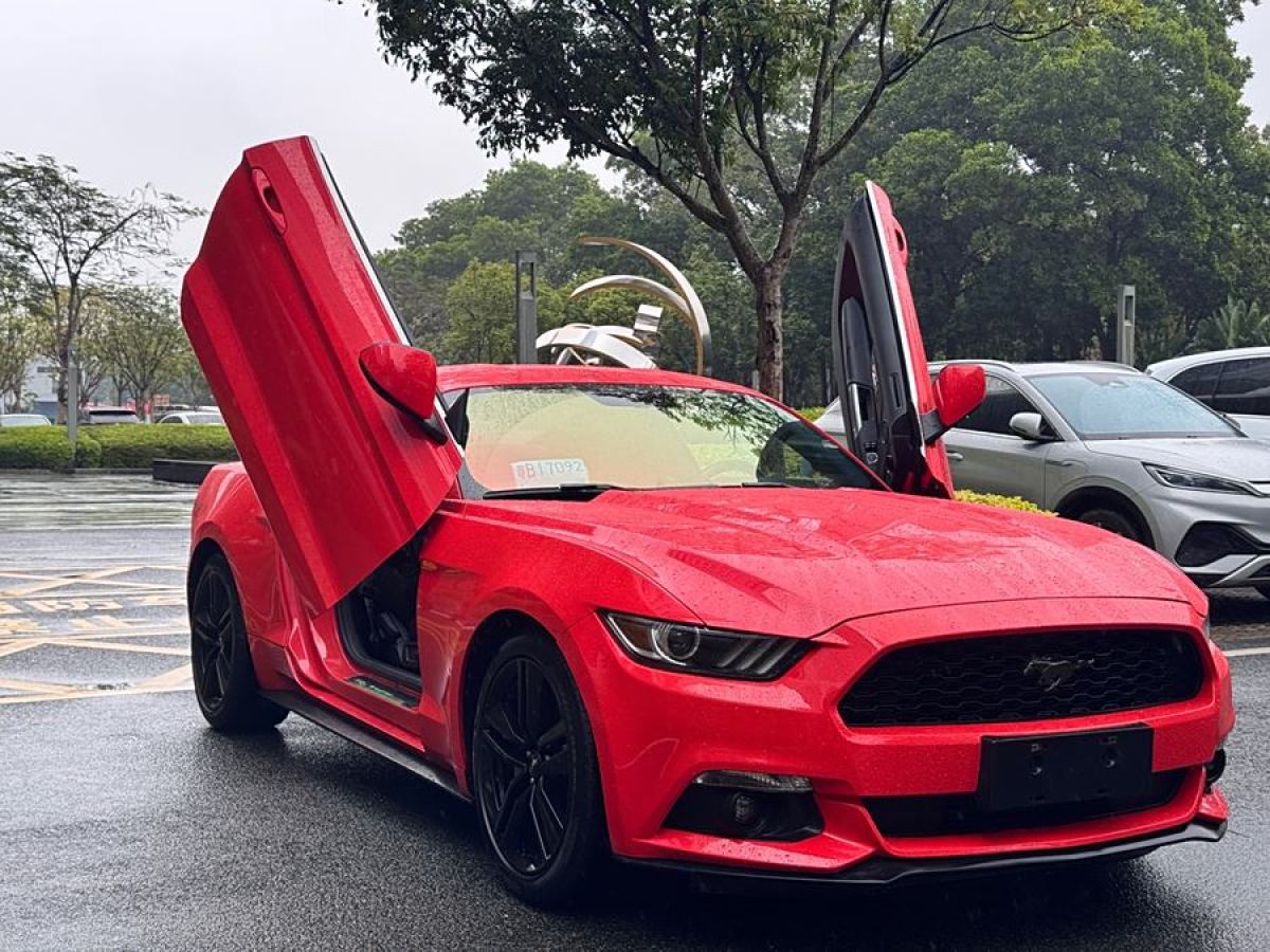 福特 Mustang  2015款 2.3T 50周年紀念版圖片