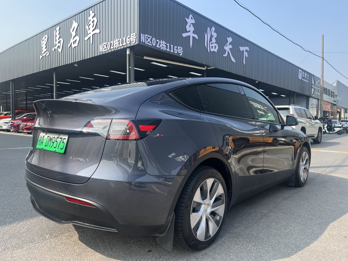 特斯拉 Model Y  2020款 改款 長續(xù)航后輪驅(qū)動版圖片