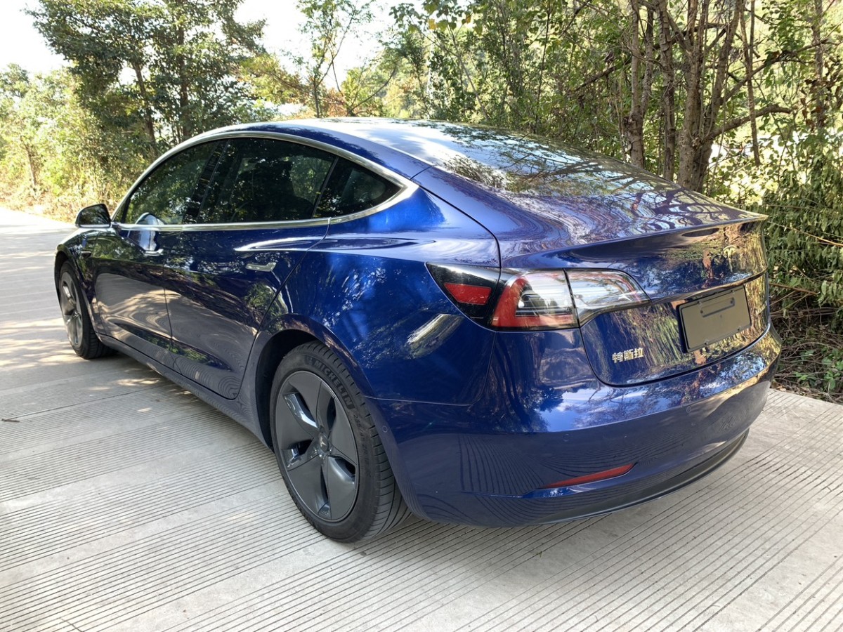 特斯拉 Model 3  2019款 標準續(xù)航后驅(qū)升級版圖片