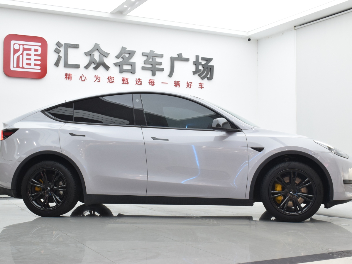 特斯拉 Model Y  2020款 改款 長續(xù)航后輪驅(qū)動(dòng)版圖片