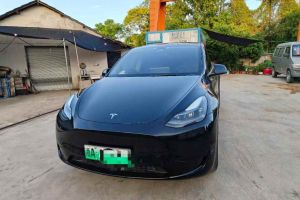 Model Y 特斯拉 Performance高性能全輪驅(qū)動版